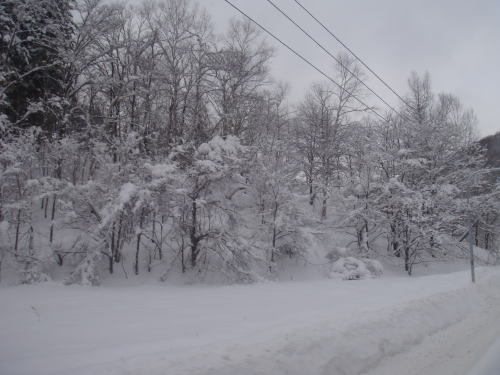 a0053203_23401341.jpg
