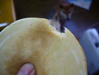 e0131506_2391464.jpg