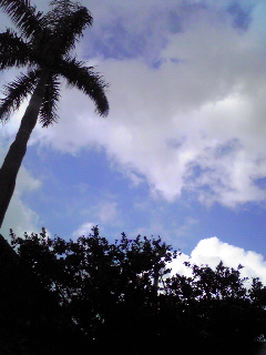 c0132608_18495269.jpg