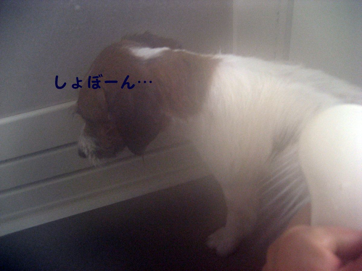 e0127409_17243847.jpg