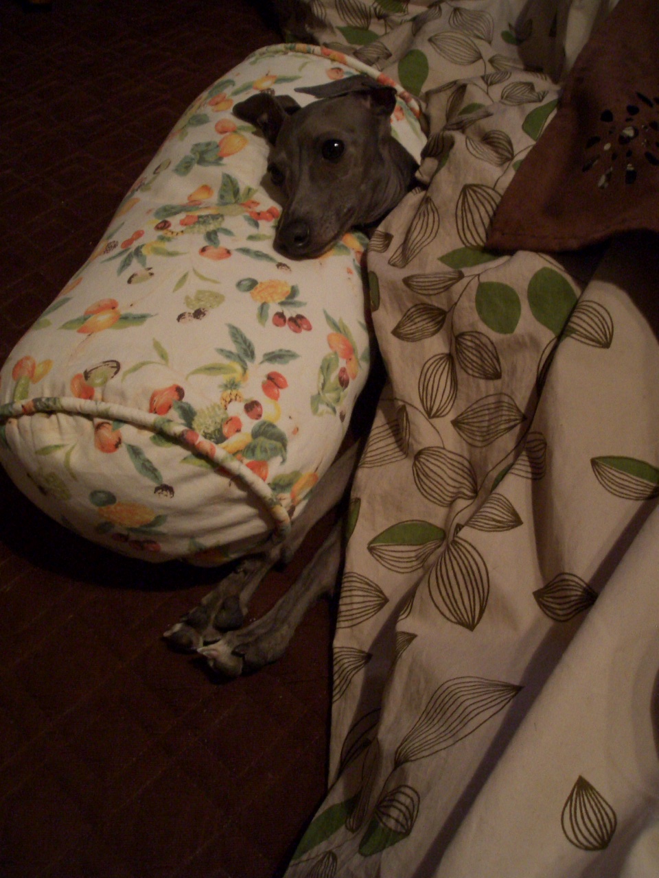 e0141909_20105550.jpg