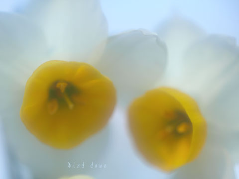 a0021110_13571116.jpg
