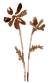 c0160014_22594287.gif