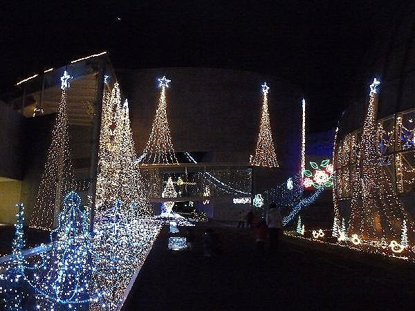 f0004019_16272866.jpg