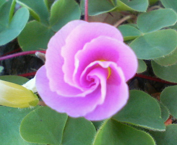 f0036223_2226204.jpg