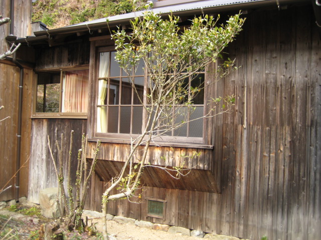 d0147727_2042898.jpg