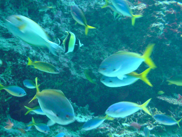 e0016828_23312572.jpg