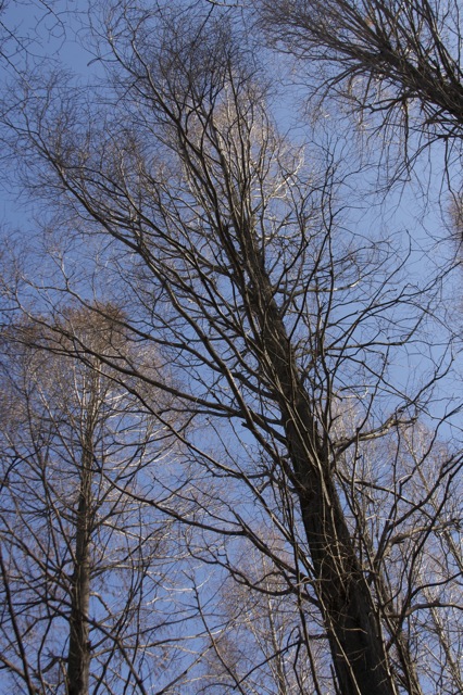 e0021328_1422677.jpg