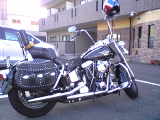 a0099129_1814475.jpg