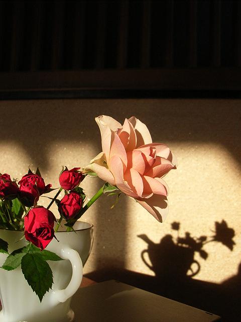 a0070831_9185923.jpg