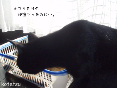 c0132438_233652.jpg