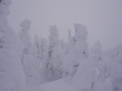 b0075140_9571813.jpg