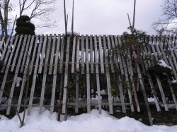 b0075140_9584216.jpg
