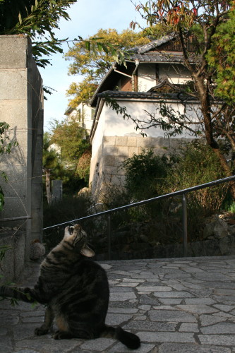 d0098941_1917165.jpg