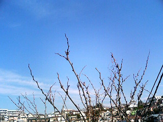 e0150843_21271895.jpg