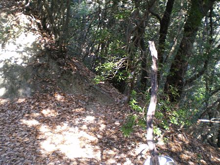 c0042847_22251551.jpg