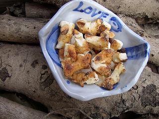 a0068350_5334475.jpg