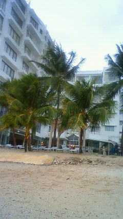 b0153550_19141262.jpg