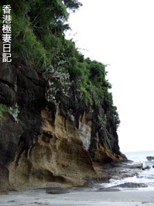 f0190653_1853010.jpg