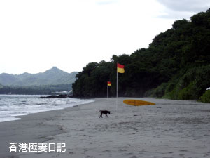 f0190653_185585.jpg