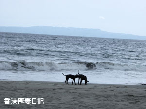f0190653_1862297.jpg
