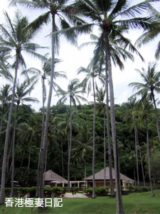 f0190653_1864859.jpg