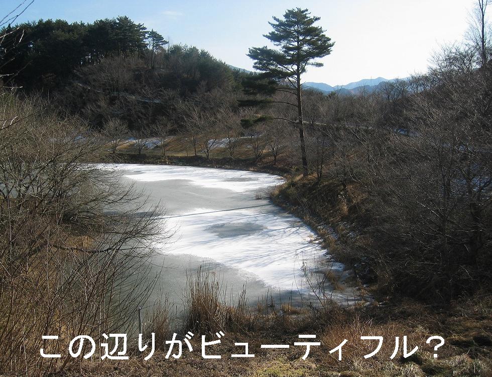 c0140260_065345.jpg