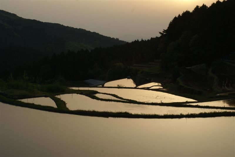 c0185066_15533770.jpg
