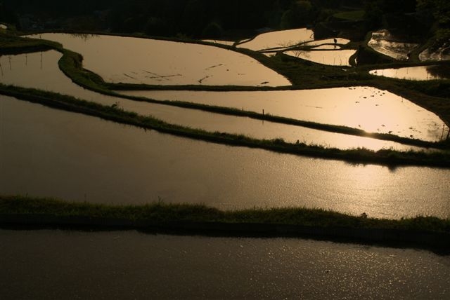 c0185066_15542860.jpg