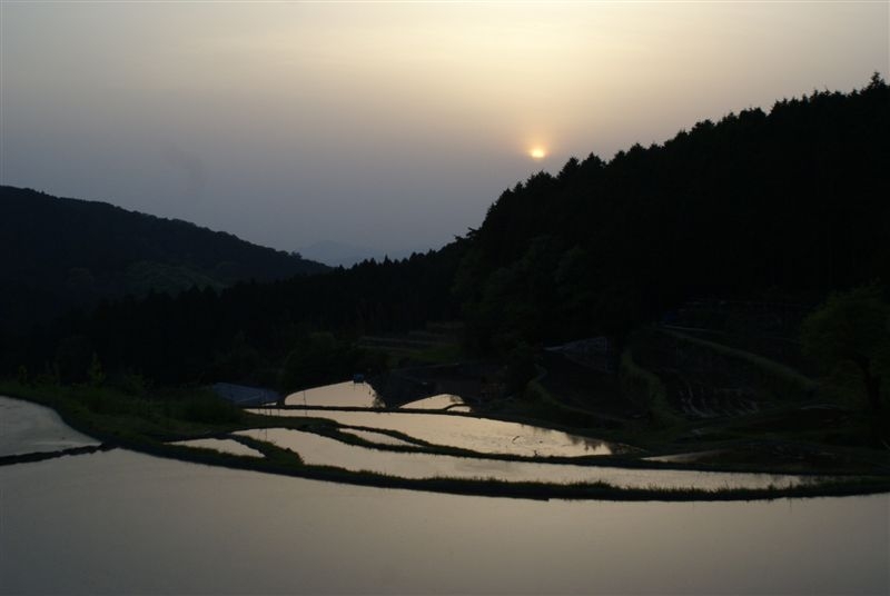 c0185066_1554616.jpg
