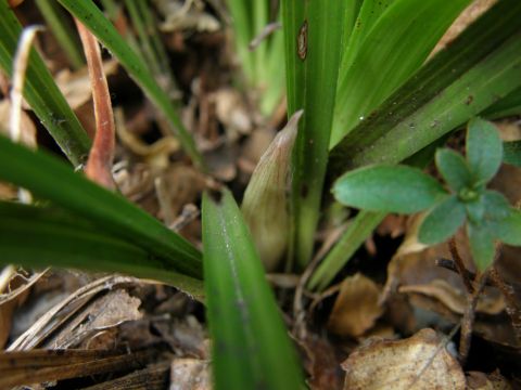 c0042869_16505716.jpg