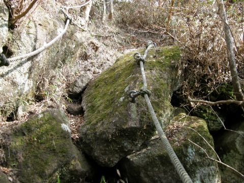 c0042869_16533829.jpg