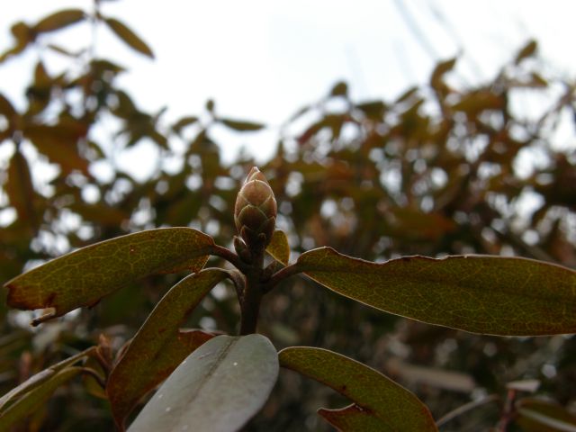 c0042869_16545486.jpg