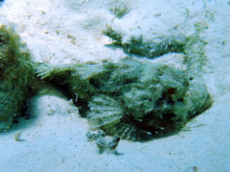 a0002177_23574032.jpg
