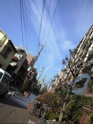 b0034381_103750.jpg