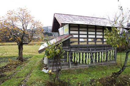 c0195281_8311745.jpg