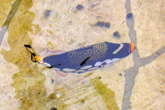 b0115085_10271884.jpg