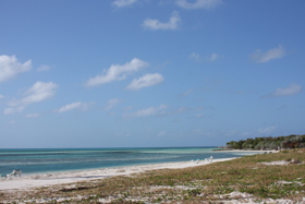 c0130986_532070.jpg
