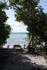 c0130986_5362691.jpg