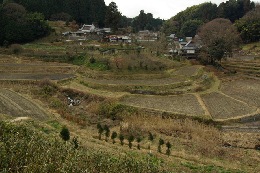 e0051186_20222750.jpg