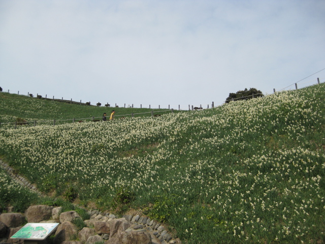 f0143386_22353423.jpg