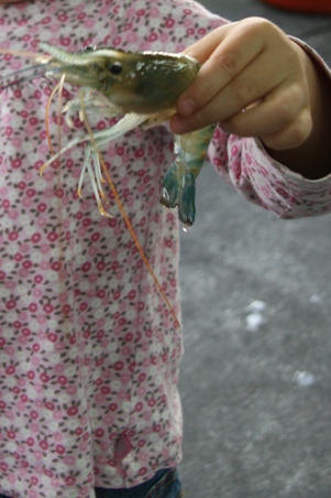 f0128092_0214712.jpg