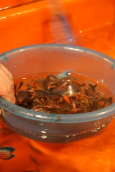 f0128092_027886.jpg