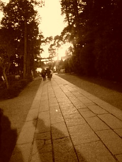 b0007895_11143840.jpg