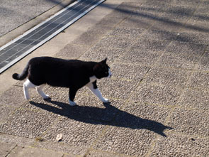 f0108399_123453.jpg