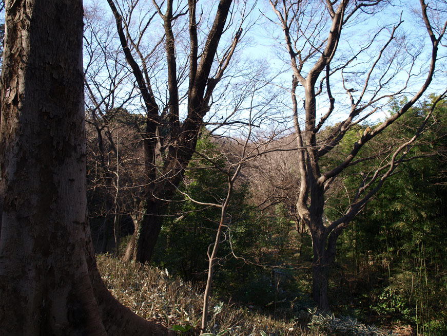 f0108399_131010.jpg