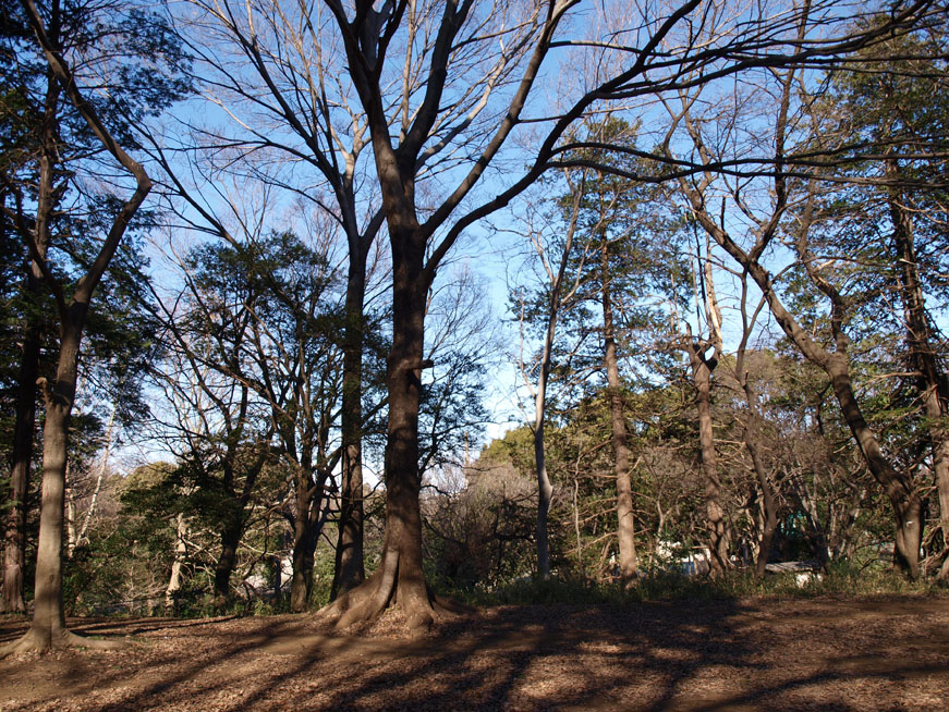 f0108399_133330.jpg