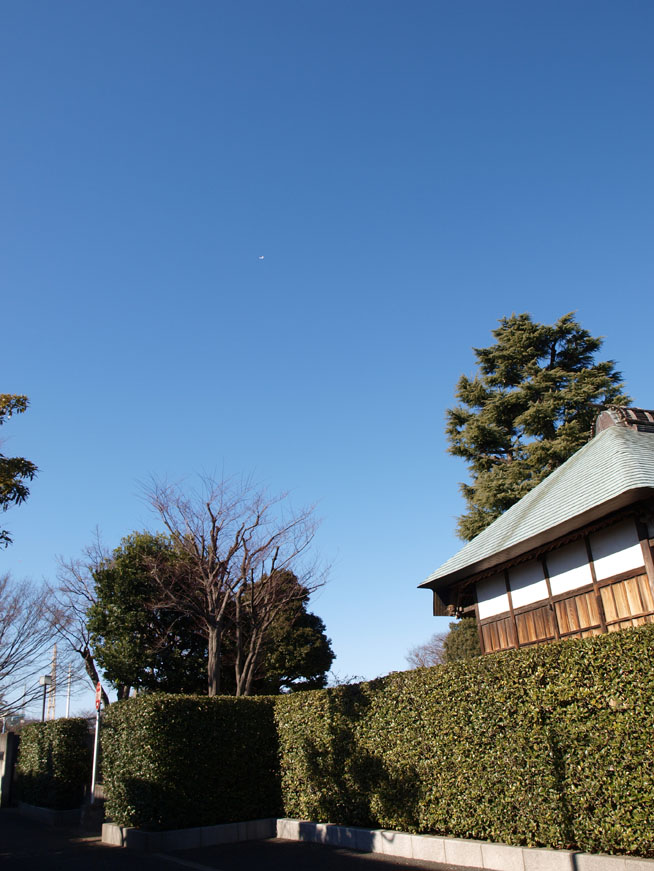 f0108399_16475.jpg