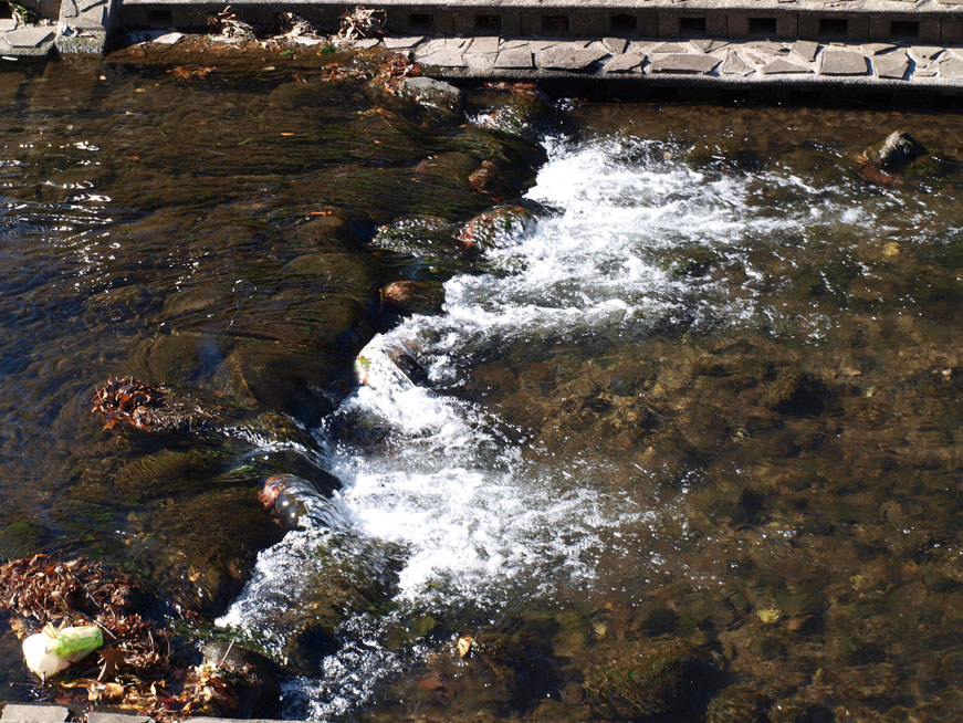 f0108399_171971.jpg