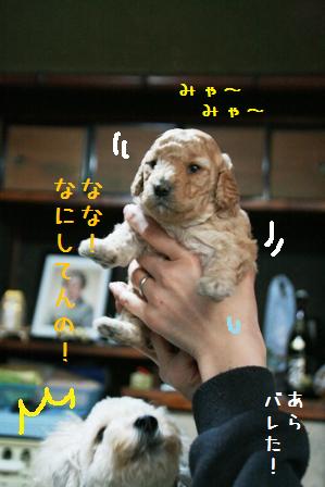 a0102602_228315.jpg